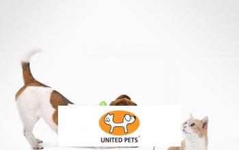 UNITED PETS en soldes sur BAZARCHIC