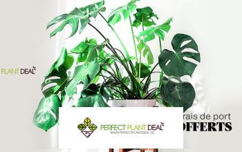 PERFECT PLANT en promo sur PRIVATE GREEN