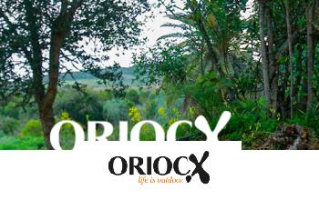 ORIOCX à super prix chez PRIVATESPORTSHOP