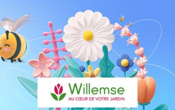 WILLEMSE pas cher sur VEEPEE